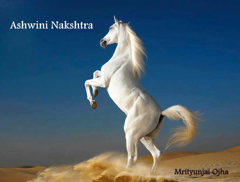 Nakshatra/Star – 1. Ashwini( 0°0' – 13°20' Mesha ) – Astrovikalp